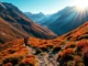 Hiking in lush mountains offers scenic trails and invigorating outdoor experiences