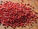 High-quality red quinoa seeds displayed on a wooden surface, emphasizing natural texture and